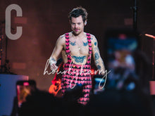 Load image into Gallery viewer, H Styles Wembley '23 Posters