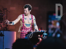 Load image into Gallery viewer, H Styles Wembley '23 Posters