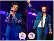 Load image into Gallery viewer, H Styles Live on Tour Posters