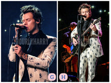 Load image into Gallery viewer, H Styles Live on Tour Posters