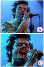 Load image into Gallery viewer, H Styles Secret Show Posters