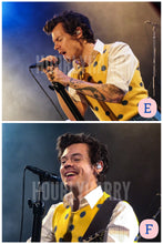 Load image into Gallery viewer, H Styles Secret Show Posters