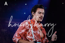 Load image into Gallery viewer, HSLOT Tampa Posters