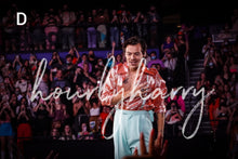 Load image into Gallery viewer, HSLOT Tampa Posters