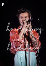 Load image into Gallery viewer, HSLOT Tampa Posters