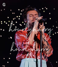 Load image into Gallery viewer, HSLOT Tampa Posters