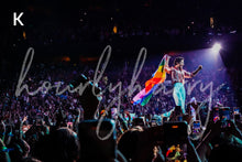 Load image into Gallery viewer, HSLOT Tampa Posters