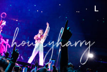 Load image into Gallery viewer, HSLOT Tampa Posters