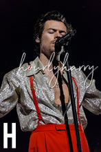 Load image into Gallery viewer, HSLOT Connecticut Night 2 Posters