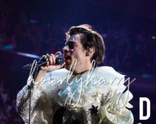 Load image into Gallery viewer, H Styles Harryween Posters