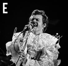 Load image into Gallery viewer, H Styles Harryween Posters