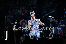 Load image into Gallery viewer, H Styles Harryween Posters