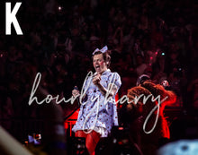 Load image into Gallery viewer, H Styles Harryween Posters