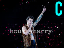 Load image into Gallery viewer, H Styles HSLOT Long Island Posters