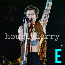 Load image into Gallery viewer, H Styles HSLOT Long Island Posters