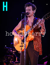 Load image into Gallery viewer, H Styles HSLOT Long Island Posters