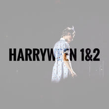 Load image into Gallery viewer, H Styles Harryween Posters