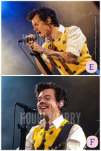 Load image into Gallery viewer, H Styles Secret Show Posters
